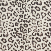 Linen Fabrics